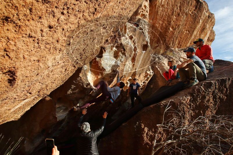 Bouldering in Hueco Tanks on 11/24/2019 with Blue Lizard Climbing and Yoga

Filename: SRM_20191124_1652471.jpg
Aperture: f/8.0
Shutter Speed: 1/400
Body: Canon EOS-1D Mark II
Lens: Canon EF 16-35mm f/2.8 L