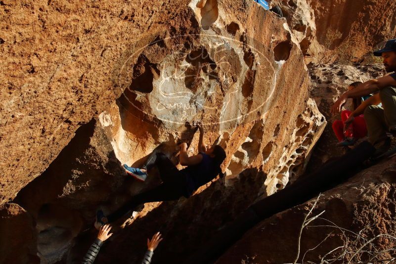 Bouldering in Hueco Tanks on 11/24/2019 with Blue Lizard Climbing and Yoga

Filename: SRM_20191124_1653390.jpg
Aperture: f/10.0
Shutter Speed: 1/400
Body: Canon EOS-1D Mark II
Lens: Canon EF 16-35mm f/2.8 L