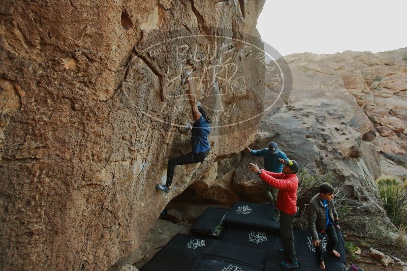 Bouldering in Hueco Tanks on 11/24/2019 with Blue Lizard Climbing and Yoga

Filename: SRM_20191124_1741000.jpg
Aperture: f/3.2
Shutter Speed: 1/200
Body: Canon EOS-1D Mark II
Lens: Canon EF 16-35mm f/2.8 L