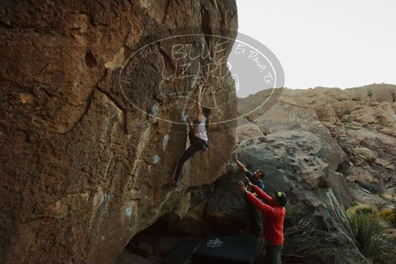 Bouldering in Hueco Tanks on 11/24/2019 with Blue Lizard Climbing and Yoga

Filename: SRM_20191124_1745280.jpg
Aperture: f/5.6
Shutter Speed: 1/200
Body: Canon EOS-1D Mark II
Lens: Canon EF 16-35mm f/2.8 L