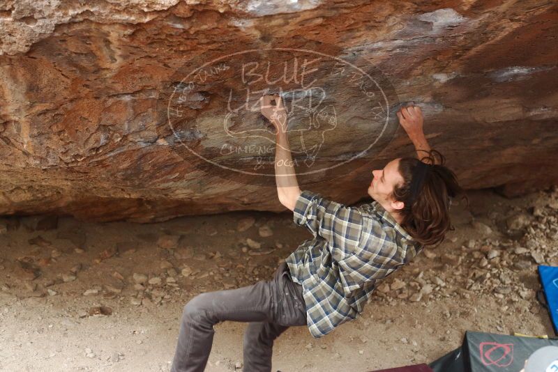 Bouldering in Hueco Tanks on 11/25/2019 with Blue Lizard Climbing and Yoga

Filename: SRM_20191125_1312270.jpg
Aperture: f/3.5
Shutter Speed: 1/320
Body: Canon EOS-1D Mark II
Lens: Canon EF 50mm f/1.8 II