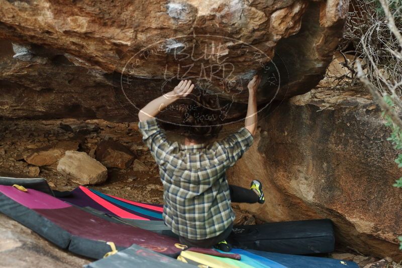 Bouldering in Hueco Tanks on 11/25/2019 with Blue Lizard Climbing and Yoga

Filename: SRM_20191125_1635160.jpg
Aperture: f/3.5
Shutter Speed: 1/320
Body: Canon EOS-1D Mark II
Lens: Canon EF 50mm f/1.8 II