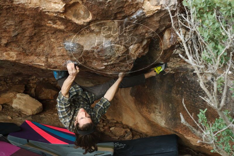 Bouldering in Hueco Tanks on 11/25/2019 with Blue Lizard Climbing and Yoga

Filename: SRM_20191125_1638410.jpg
Aperture: f/3.5
Shutter Speed: 1/320
Body: Canon EOS-1D Mark II
Lens: Canon EF 50mm f/1.8 II