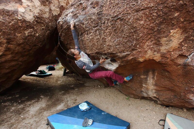 Bouldering in Hueco Tanks on 11/25/2019 with Blue Lizard Climbing and Yoga

Filename: SRM_20191125_1059200.jpg
Aperture: f/4.5
Shutter Speed: 1/400
Body: Canon EOS-1D Mark II
Lens: Canon EF 16-35mm f/2.8 L