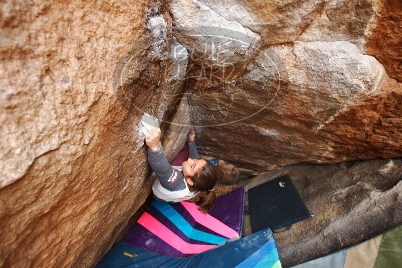 Bouldering in Hueco Tanks on 11/25/2019 with Blue Lizard Climbing and Yoga

Filename: SRM_20191125_1151300.jpg
Aperture: f/3.2
Shutter Speed: 1/250
Body: Canon EOS-1D Mark II
Lens: Canon EF 16-35mm f/2.8 L