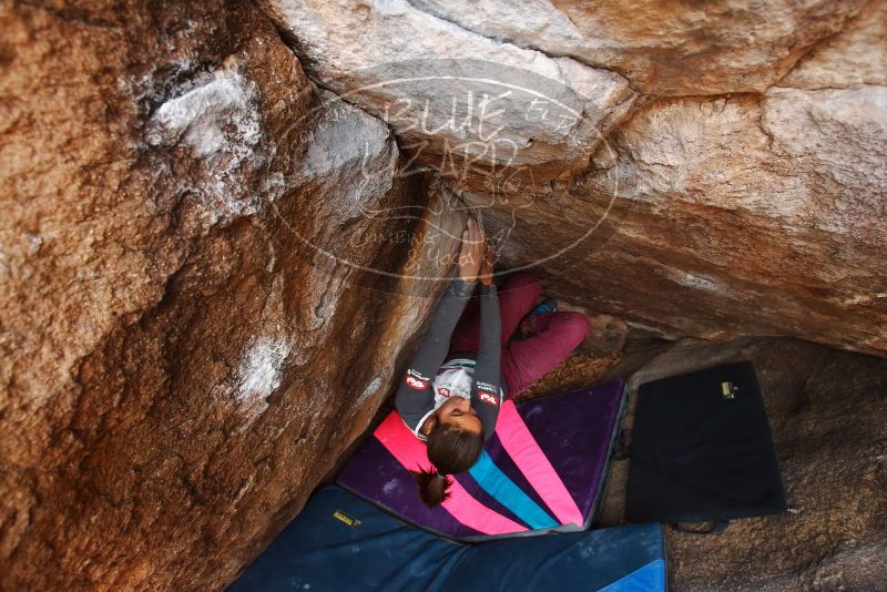 Bouldering in Hueco Tanks on 11/25/2019 with Blue Lizard Climbing and Yoga

Filename: SRM_20191125_1155590.jpg
Aperture: f/5.0
Shutter Speed: 1/250
Body: Canon EOS-1D Mark II
Lens: Canon EF 16-35mm f/2.8 L