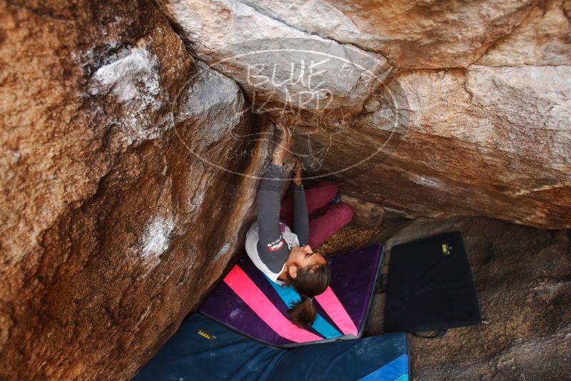 Bouldering in Hueco Tanks on 11/25/2019 with Blue Lizard Climbing and Yoga

Filename: SRM_20191125_1156000.jpg
Aperture: f/5.0
Shutter Speed: 1/250
Body: Canon EOS-1D Mark II
Lens: Canon EF 16-35mm f/2.8 L