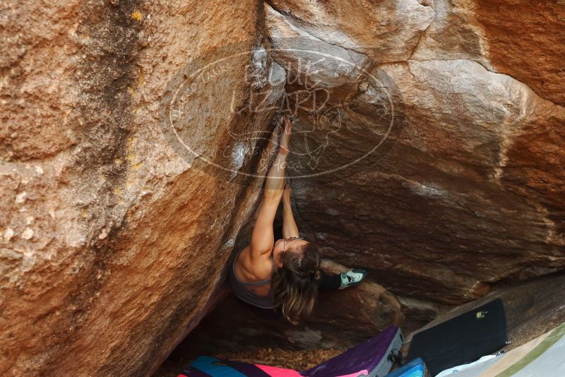 Bouldering in Hueco Tanks on 11/25/2019 with Blue Lizard Climbing and Yoga

Filename: SRM_20191125_1207571.jpg
Aperture: f/4.0
Shutter Speed: 1/250
Body: Canon EOS-1D Mark II
Lens: Canon EF 50mm f/1.8 II
