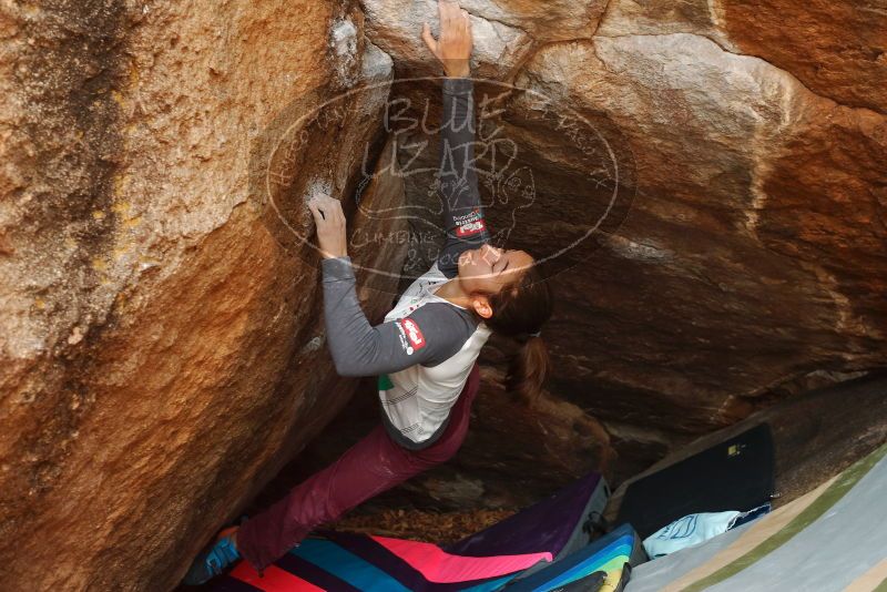 Bouldering in Hueco Tanks on 11/25/2019 with Blue Lizard Climbing and Yoga

Filename: SRM_20191125_1216151.jpg
Aperture: f/4.5
Shutter Speed: 1/250
Body: Canon EOS-1D Mark II
Lens: Canon EF 50mm f/1.8 II