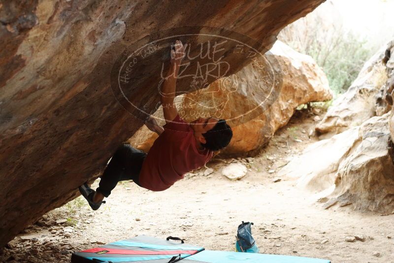 Bouldering in Hueco Tanks on 11/25/2019 with Blue Lizard Climbing and Yoga

Filename: SRM_20191125_1226360.jpg
Aperture: f/4.0
Shutter Speed: 1/250
Body: Canon EOS-1D Mark II
Lens: Canon EF 50mm f/1.8 II