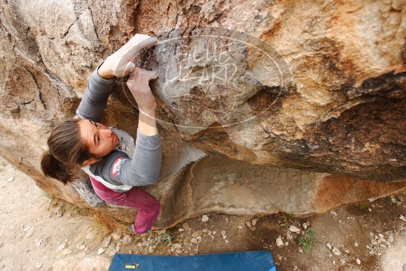 Bouldering in Hueco Tanks on 11/25/2019 with Blue Lizard Climbing and Yoga

Filename: SRM_20191125_1228550.jpg
Aperture: f/5.6
Shutter Speed: 1/250
Body: Canon EOS-1D Mark II
Lens: Canon EF 16-35mm f/2.8 L
