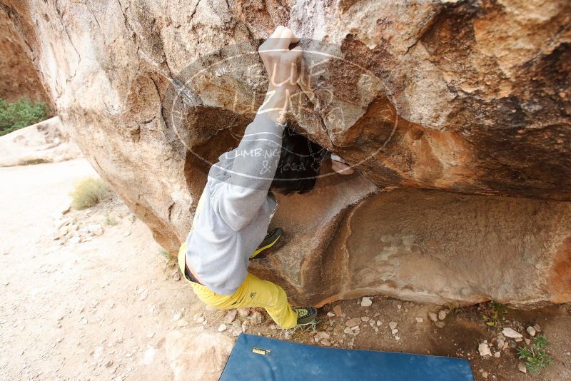 Bouldering in Hueco Tanks on 11/25/2019 with Blue Lizard Climbing and Yoga

Filename: SRM_20191125_1229490.jpg
Aperture: f/5.6
Shutter Speed: 1/250
Body: Canon EOS-1D Mark II
Lens: Canon EF 16-35mm f/2.8 L