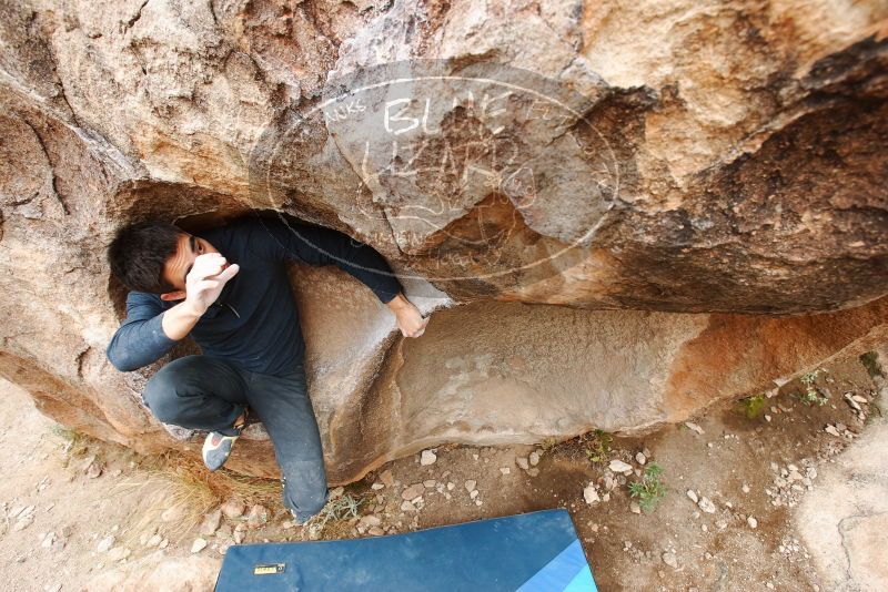 Bouldering in Hueco Tanks on 11/25/2019 with Blue Lizard Climbing and Yoga

Filename: SRM_20191125_1233240.jpg
Aperture: f/5.0
Shutter Speed: 1/250
Body: Canon EOS-1D Mark II
Lens: Canon EF 16-35mm f/2.8 L