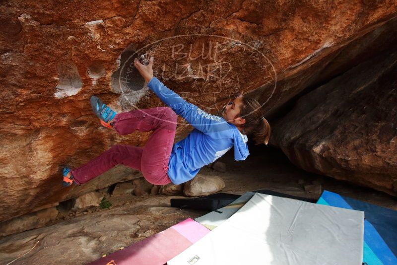Bouldering in Hueco Tanks on 11/25/2019 with Blue Lizard Climbing and Yoga

Filename: SRM_20191125_1509050.jpg
Aperture: f/7.1
Shutter Speed: 1/250
Body: Canon EOS-1D Mark II
Lens: Canon EF 16-35mm f/2.8 L