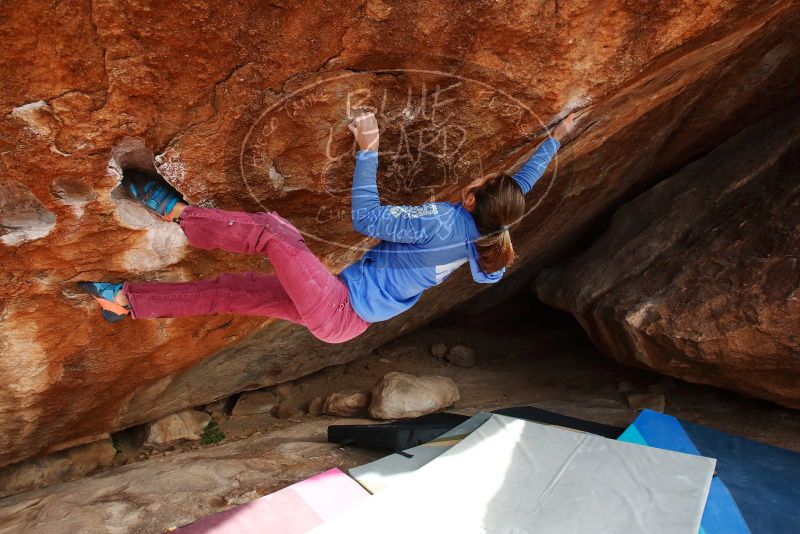 Bouldering in Hueco Tanks on 11/25/2019 with Blue Lizard Climbing and Yoga

Filename: SRM_20191125_1509110.jpg
Aperture: f/7.1
Shutter Speed: 1/250
Body: Canon EOS-1D Mark II
Lens: Canon EF 16-35mm f/2.8 L