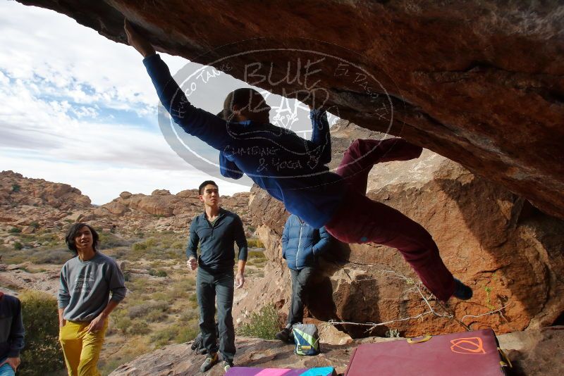 Bouldering in Hueco Tanks on 11/25/2019 with Blue Lizard Climbing and Yoga

Filename: SRM_20191125_1513130.jpg
Aperture: f/11.0
Shutter Speed: 1/250
Body: Canon EOS-1D Mark II
Lens: Canon EF 16-35mm f/2.8 L