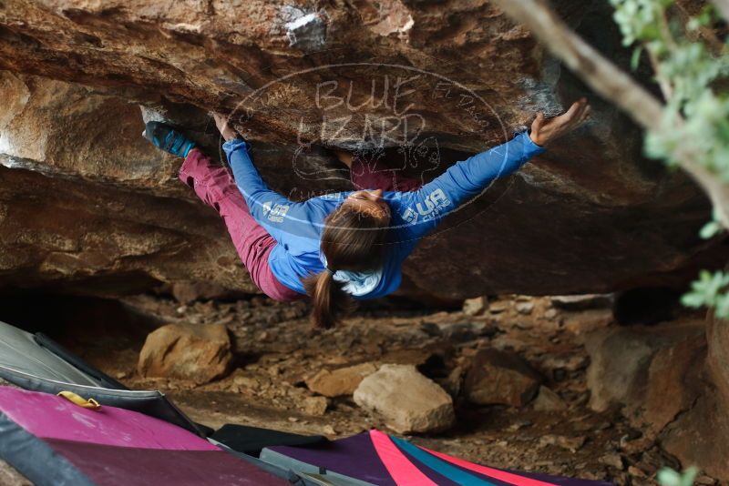 Bouldering in Hueco Tanks on 11/25/2019 with Blue Lizard Climbing and Yoga
Filename: SRM_20191125_1641561.jpg
Aperture: f/2.8
Shutter Speed: 1/320
Body: Canon EOS-1D Mark II
Lens: Canon EF 50mm f/1.8 II