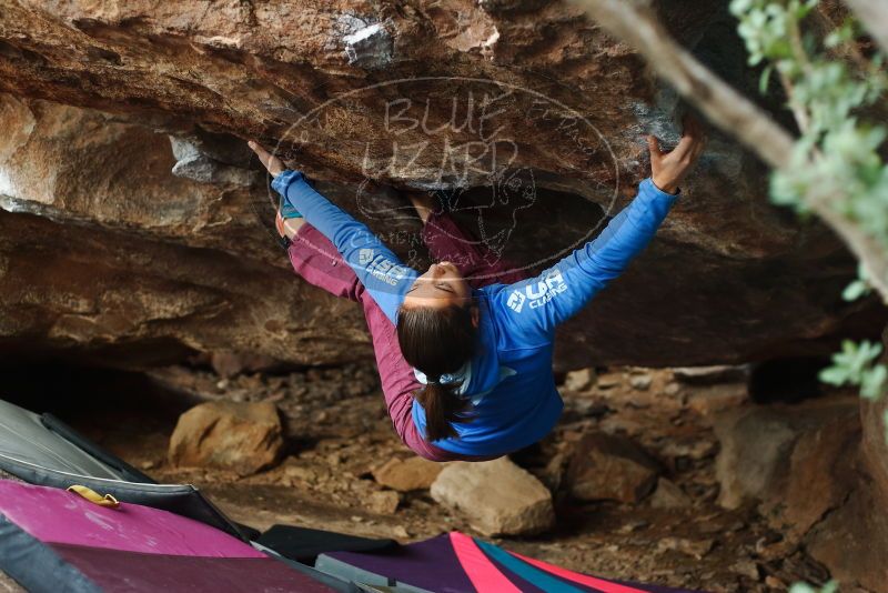 Bouldering in Hueco Tanks on 11/25/2019 with Blue Lizard Climbing and Yoga

Filename: SRM_20191125_1642010.jpg
Aperture: f/2.8
Shutter Speed: 1/320
Body: Canon EOS-1D Mark II
Lens: Canon EF 50mm f/1.8 II