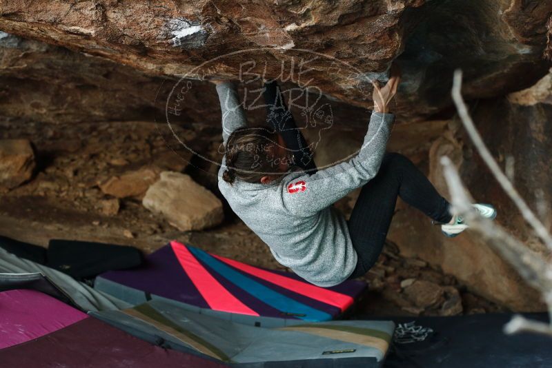 Bouldering in Hueco Tanks on 11/25/2019 with Blue Lizard Climbing and Yoga

Filename: SRM_20191125_1647560.jpg
Aperture: f/4.0
Shutter Speed: 1/250
Body: Canon EOS-1D Mark II
Lens: Canon EF 50mm f/1.8 II