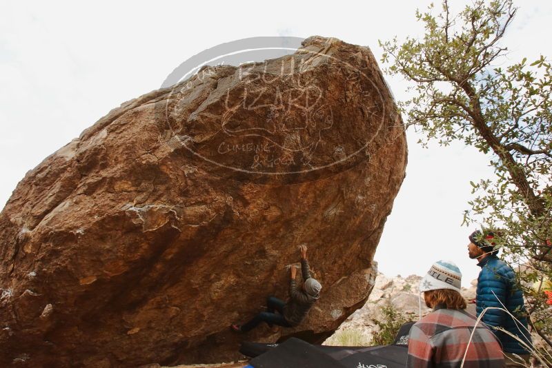 Bouldering in Hueco Tanks on 11/26/2019 with Blue Lizard Climbing and Yoga

Filename: SRM_20191126_1145000.jpg
Aperture: f/8.0
Shutter Speed: 1/250
Body: Canon EOS-1D Mark II
Lens: Canon EF 16-35mm f/2.8 L