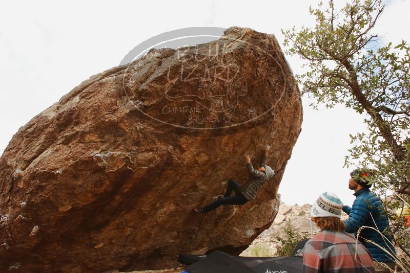 Bouldering in Hueco Tanks on 11/26/2019 with Blue Lizard Climbing and Yoga

Filename: SRM_20191126_1145070.jpg
Aperture: f/8.0
Shutter Speed: 1/250
Body: Canon EOS-1D Mark II
Lens: Canon EF 16-35mm f/2.8 L