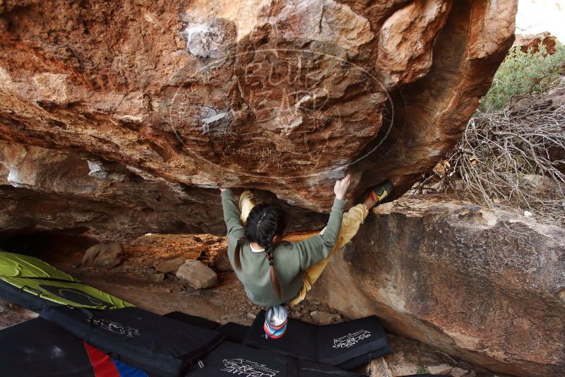 Bouldering in Hueco Tanks on 11/26/2019 with Blue Lizard Climbing and Yoga

Filename: SRM_20191126_1536300.jpg
Aperture: f/4.0
Shutter Speed: 1/250
Body: Canon EOS-1D Mark II
Lens: Canon EF 16-35mm f/2.8 L