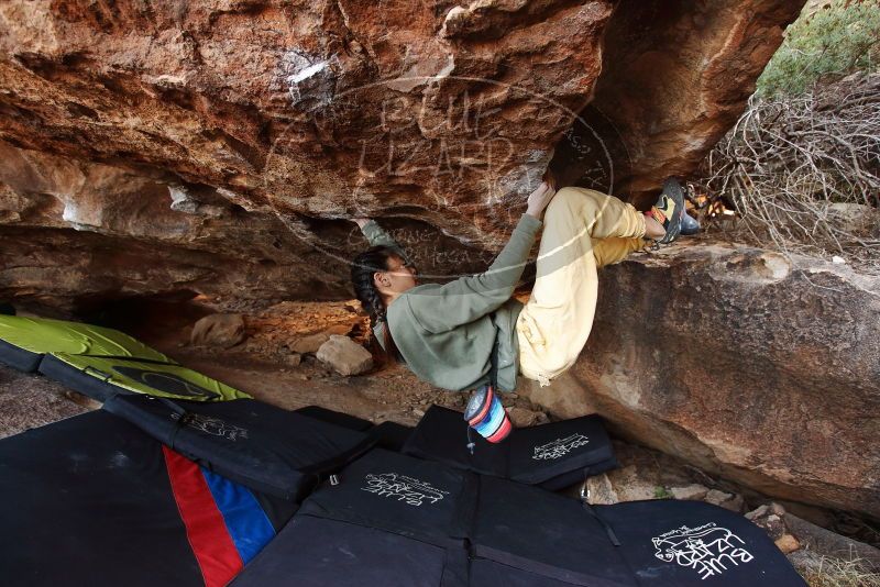 Bouldering in Hueco Tanks on 11/26/2019 with Blue Lizard Climbing and Yoga

Filename: SRM_20191126_1540180.jpg
Aperture: f/4.0
Shutter Speed: 1/250
Body: Canon EOS-1D Mark II
Lens: Canon EF 16-35mm f/2.8 L