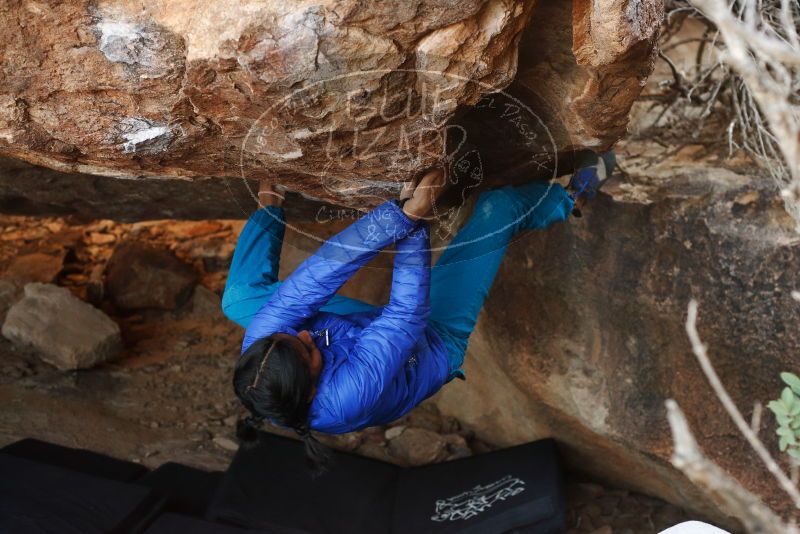 Bouldering in Hueco Tanks on 11/26/2019 with Blue Lizard Climbing and Yoga

Filename: SRM_20191126_1544080.jpg
Aperture: f/4.0
Shutter Speed: 1/250
Body: Canon EOS-1D Mark II
Lens: Canon EF 50mm f/1.8 II
