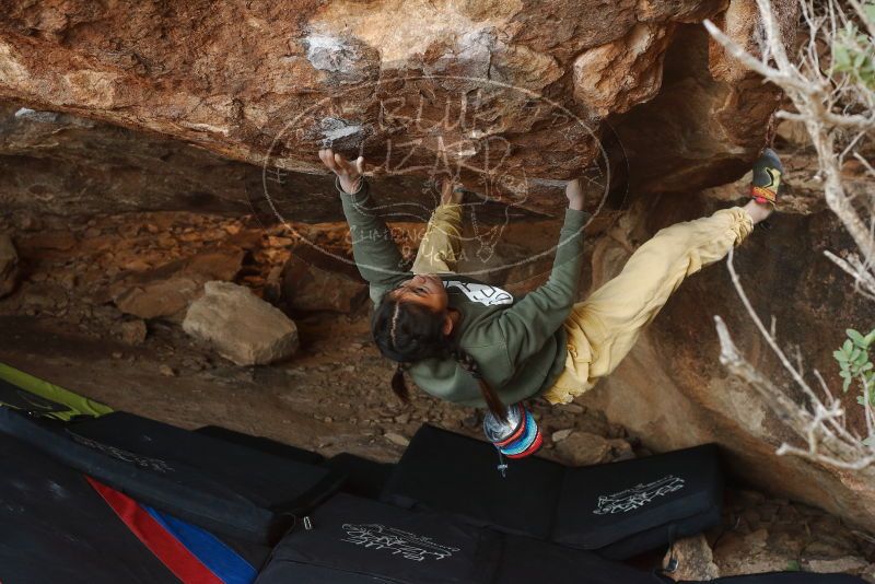 Bouldering in Hueco Tanks on 11/26/2019 with Blue Lizard Climbing and Yoga

Filename: SRM_20191126_1558210.jpg
Aperture: f/5.0
Shutter Speed: 1/250
Body: Canon EOS-1D Mark II
Lens: Canon EF 50mm f/1.8 II