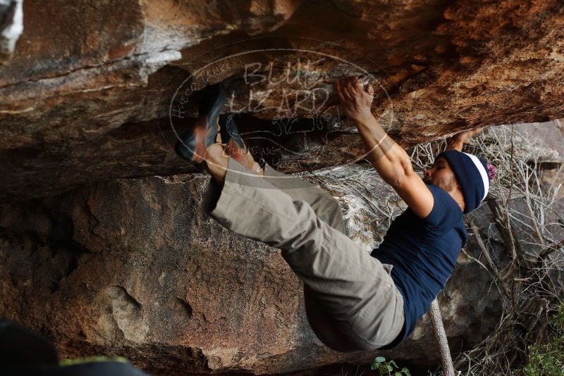 Bouldering in Hueco Tanks on 11/26/2019 with Blue Lizard Climbing and Yoga

Filename: SRM_20191126_1615310.jpg
Aperture: f/4.0
Shutter Speed: 1/250
Body: Canon EOS-1D Mark II
Lens: Canon EF 50mm f/1.8 II