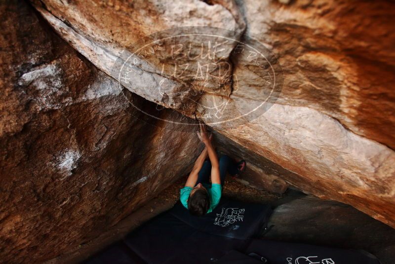 Bouldering in Hueco Tanks on 11/26/2019 with Blue Lizard Climbing and Yoga

Filename: SRM_20191126_1736330.jpg
Aperture: f/3.5
Shutter Speed: 1/250
Body: Canon EOS-1D Mark II
Lens: Canon EF 16-35mm f/2.8 L