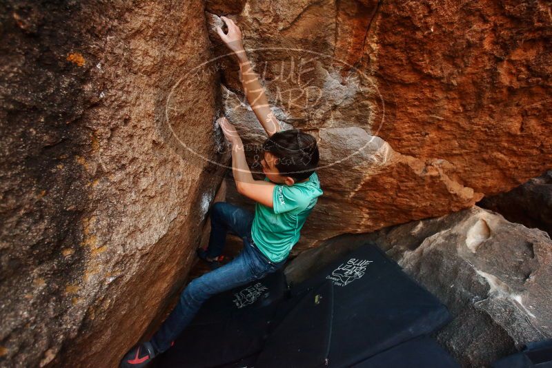 Bouldering in Hueco Tanks on 11/26/2019 with Blue Lizard Climbing and Yoga

Filename: SRM_20191126_1739041.jpg
Aperture: f/4.0
Shutter Speed: 1/250
Body: Canon EOS-1D Mark II
Lens: Canon EF 16-35mm f/2.8 L