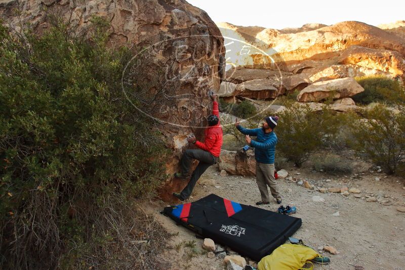 Bouldering in Hueco Tanks on 11/26/2019 with Blue Lizard Climbing and Yoga

Filename: SRM_20191126_1746370.jpg
Aperture: f/5.0
Shutter Speed: 1/250
Body: Canon EOS-1D Mark II
Lens: Canon EF 16-35mm f/2.8 L