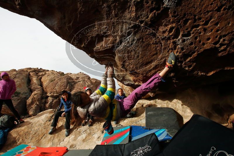 

Filename: SRM_20191127_1008030.jpg
Aperture: f/9.0
Shutter Speed: 1/250
Body: Canon EOS-1D Mark II
Lens: Canon EF 16-35mm f/2.8 L