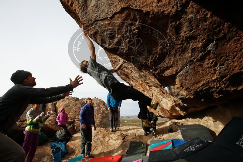 Bouldering in Hueco Tanks on 11/27/2019 with Blue Lizard Climbing and Yoga

Filename: SRM_20191127_0959410.jpg
Aperture: f/9.0
Shutter Speed: 1/250
Body: Canon EOS-1D Mark II
Lens: Canon EF 16-35mm f/2.8 L
