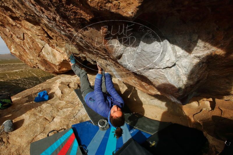 Bouldering in Hueco Tanks on 11/27/2019 with Blue Lizard Climbing and Yoga

Filename: SRM_20191127_1004380.jpg
Aperture: f/10.0
Shutter Speed: 1/250
Body: Canon EOS-1D Mark II
Lens: Canon EF 16-35mm f/2.8 L