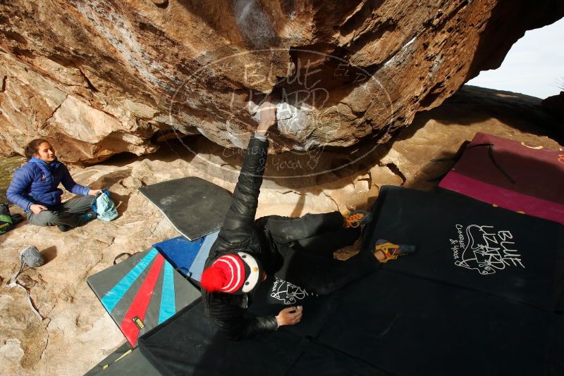 Bouldering in Hueco Tanks on 11/27/2019 with Blue Lizard Climbing and Yoga

Filename: SRM_20191127_1005010.jpg
Aperture: f/8.0
Shutter Speed: 1/250
Body: Canon EOS-1D Mark II
Lens: Canon EF 16-35mm f/2.8 L
