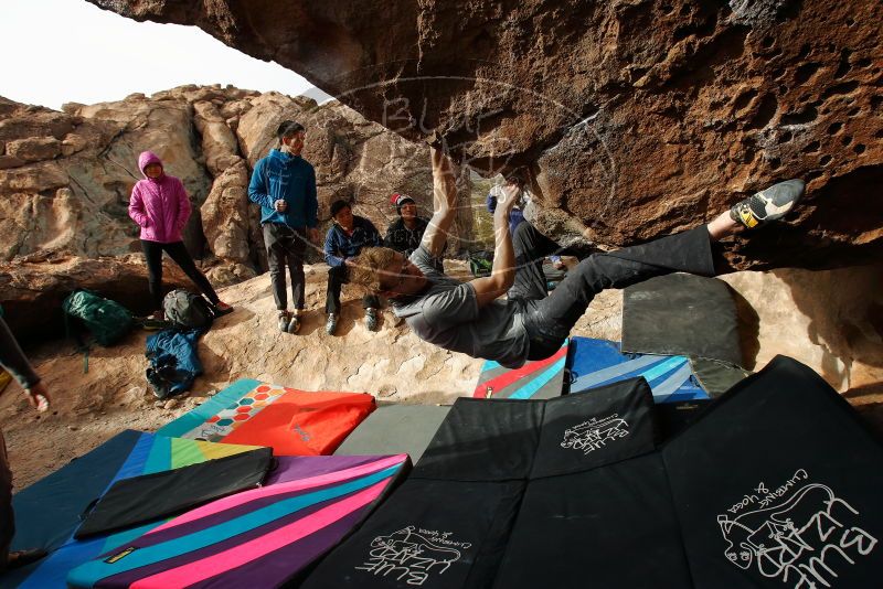 Bouldering in Hueco Tanks on 11/27/2019 with Blue Lizard Climbing and Yoga

Filename: SRM_20191127_1005560.jpg
Aperture: f/7.1
Shutter Speed: 1/250
Body: Canon EOS-1D Mark II
Lens: Canon EF 16-35mm f/2.8 L