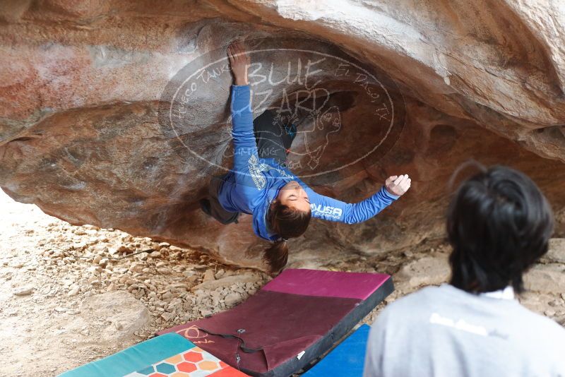Bouldering in Hueco Tanks on 11/27/2019 with Blue Lizard Climbing and Yoga

Filename: SRM_20191127_1050481.jpg
Aperture: f/2.8
Shutter Speed: 1/250
Body: Canon EOS-1D Mark II
Lens: Canon EF 50mm f/1.8 II