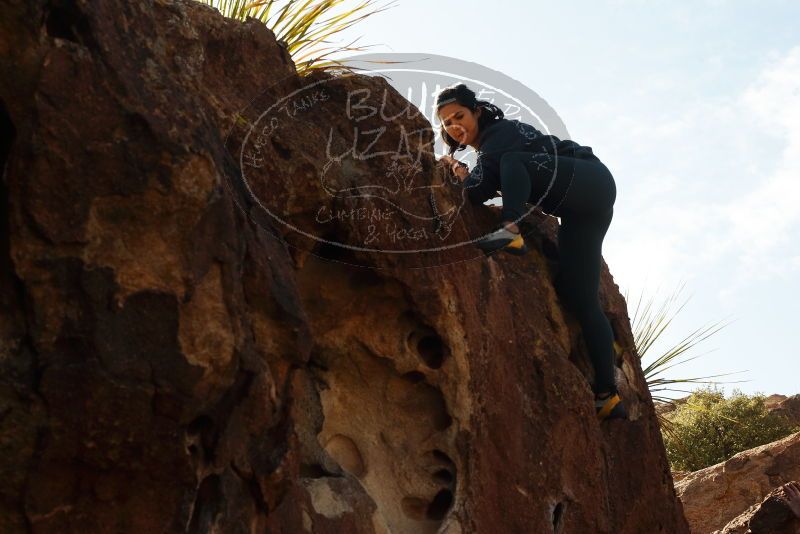 Bouldering in Hueco Tanks on 11/29/2019 with Blue Lizard Climbing and Yoga

Filename: SRM_20191129_1421530.jpg
Aperture: f/8.0
Shutter Speed: 1/250
Body: Canon EOS-1D Mark II
Lens: Canon EF 50mm f/1.8 II