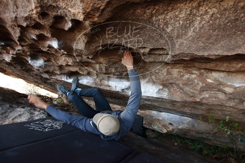 Bouldering in Hueco Tanks on 11/29/2019 with Blue Lizard Climbing and Yoga

Filename: SRM_20191129_1628001.jpg
Aperture: f/3.5
Shutter Speed: 1/250
Body: Canon EOS-1D Mark II
Lens: Canon EF 16-35mm f/2.8 L