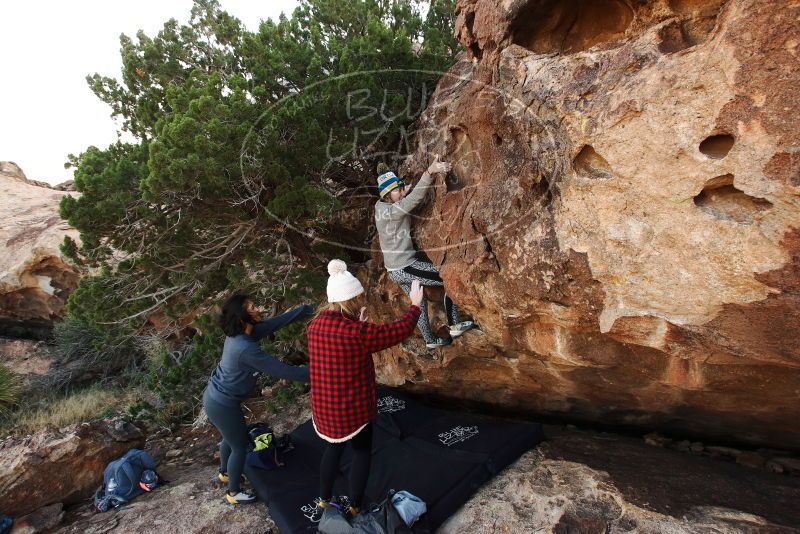 Bouldering in Hueco Tanks on 11/29/2019 with Blue Lizard Climbing and Yoga

Filename: SRM_20191129_1630340.jpg
Aperture: f/7.1
Shutter Speed: 1/250
Body: Canon EOS-1D Mark II
Lens: Canon EF 16-35mm f/2.8 L