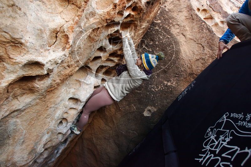 Bouldering in Hueco Tanks on 11/30/2019 with Blue Lizard Climbing and Yoga

Filename: SRM_20191130_1009220.jpg
Aperture: f/5.0
Shutter Speed: 1/250
Body: Canon EOS-1D Mark II
Lens: Canon EF 16-35mm f/2.8 L