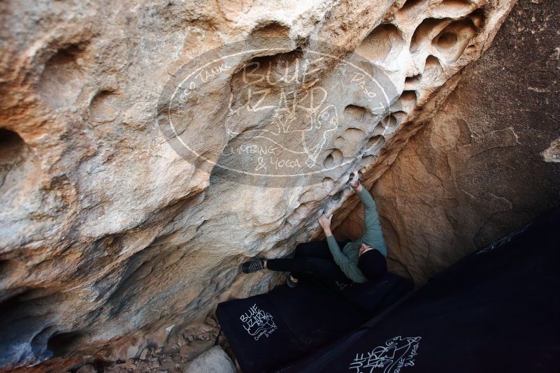Bouldering in Hueco Tanks on 11/30/2019 with Blue Lizard Climbing and Yoga

Filename: SRM_20191130_1012220.jpg
Aperture: f/3.5
Shutter Speed: 1/250
Body: Canon EOS-1D Mark II
Lens: Canon EF 16-35mm f/2.8 L