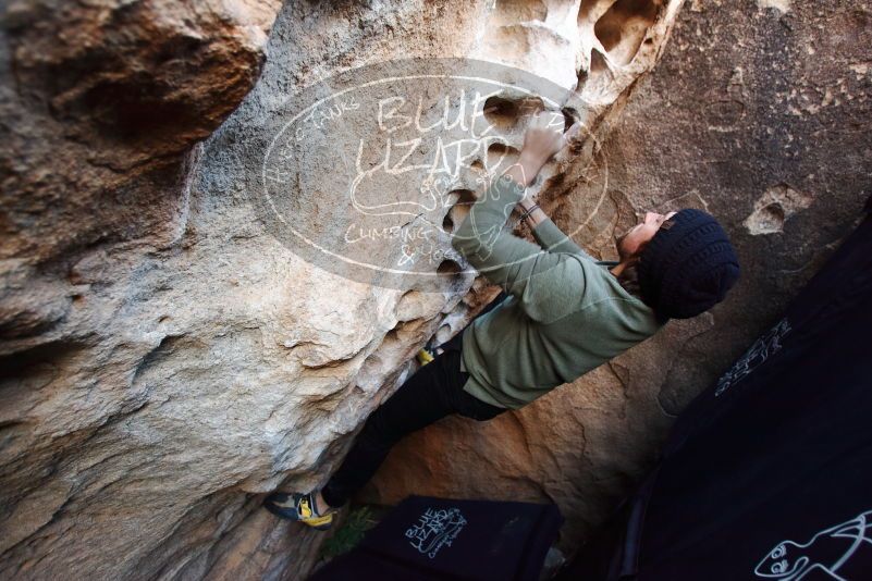 Bouldering in Hueco Tanks on 11/30/2019 with Blue Lizard Climbing and Yoga

Filename: SRM_20191130_1020380.jpg
Aperture: f/3.2
Shutter Speed: 1/250
Body: Canon EOS-1D Mark II
Lens: Canon EF 16-35mm f/2.8 L