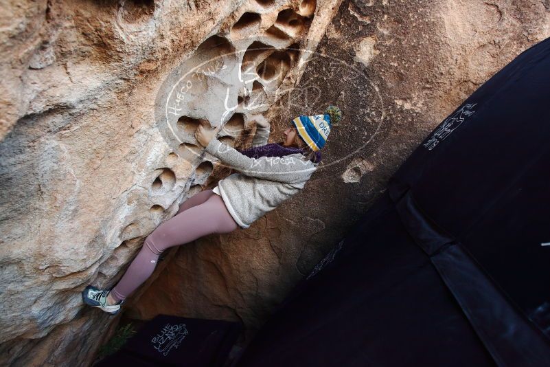 Bouldering in Hueco Tanks on 11/30/2019 with Blue Lizard Climbing and Yoga

Filename: SRM_20191130_1024570.jpg
Aperture: f/4.5
Shutter Speed: 1/250
Body: Canon EOS-1D Mark II
Lens: Canon EF 16-35mm f/2.8 L
