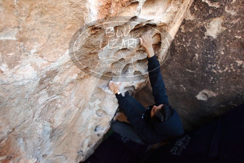 Bouldering in Hueco Tanks on 11/30/2019 with Blue Lizard Climbing and Yoga

Filename: SRM_20191130_1031160.jpg
Aperture: f/4.0
Shutter Speed: 1/250
Body: Canon EOS-1D Mark II
Lens: Canon EF 16-35mm f/2.8 L