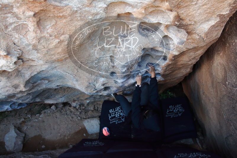 Bouldering in Hueco Tanks on 11/30/2019 with Blue Lizard Climbing and Yoga

Filename: SRM_20191130_1043350.jpg
Aperture: f/3.5
Shutter Speed: 1/250
Body: Canon EOS-1D Mark II
Lens: Canon EF 16-35mm f/2.8 L