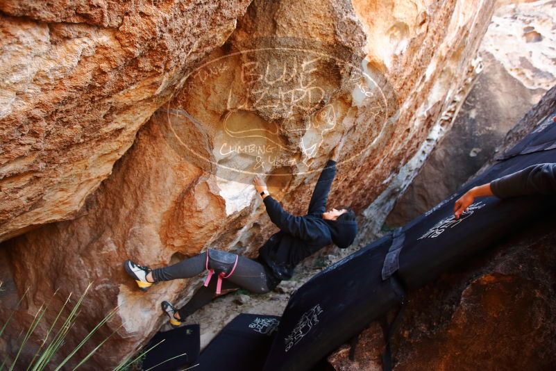 Bouldering in Hueco Tanks on 11/30/2019 with Blue Lizard Climbing and Yoga

Filename: SRM_20191130_1304340.jpg
Aperture: f/3.5
Shutter Speed: 1/250
Body: Canon EOS-1D Mark II
Lens: Canon EF 16-35mm f/2.8 L