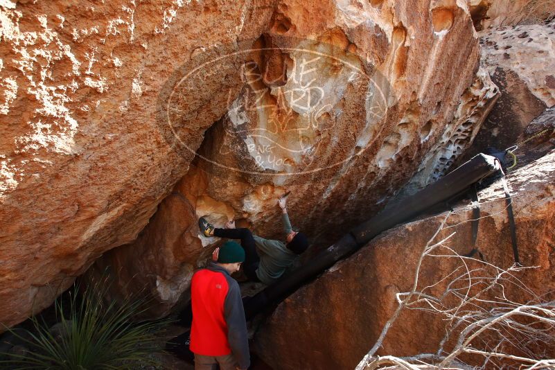 Bouldering in Hueco Tanks on 11/30/2019 with Blue Lizard Climbing and Yoga

Filename: SRM_20191130_1312010.jpg
Aperture: f/7.1
Shutter Speed: 1/250
Body: Canon EOS-1D Mark II
Lens: Canon EF 16-35mm f/2.8 L